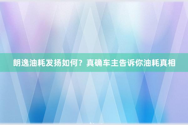 朗逸油耗发扬如何？真确车主告诉你油耗真相